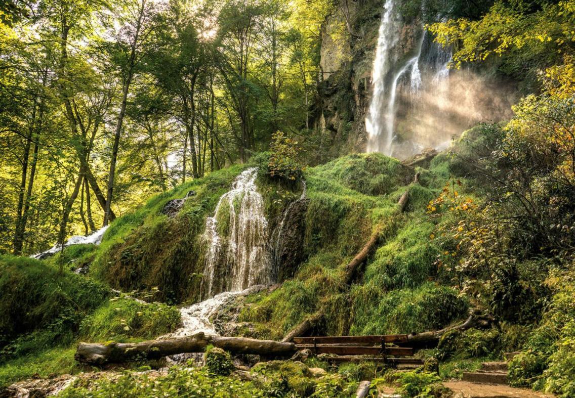 Erholungs- Am Kurpark & Therme *